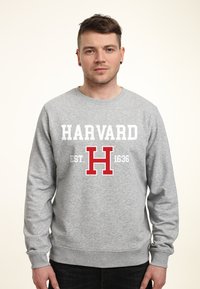 Grauer Sweatshirt mit „HARVARD“ in weißen Buchstaben und einem roten „H“ mit „EST. 1636“ darunter. Normale Crew-Ausschnitt und gerippte Bündchen.
