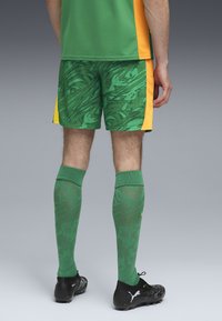 Groene voetbalshorts met een golvend patroon, gecombineerd met groene kniekousen met een textuurontwerp, en zwarte voetbalschoenen. Gele accenten aanwezig.