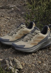 Lysebrune og sorte Adidas Terrex trail løbesko, der hviler på klippefyldt udendørs jord med små planter i nærheden.