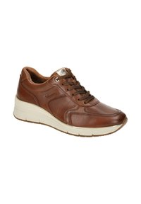 Tamaris SNEAKER MUSCAT  - Sneaker low - muscat