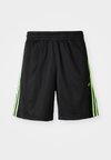 Tracksuit bottoms - black/signal green