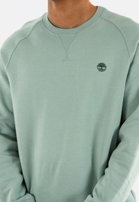 Sudadera verde clara con cuello redondo, ribetes acanalados y un pequeño logotipo oscuro. Tecido suave con una textura lisa y corte relajado.