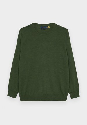 Polo Ralph Lauren Big & Tall LONG SLEEVED PULLOVER - Pulóver - classic olive