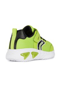 Geox ASSISTER - Zapatillas - lime black