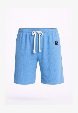 Pantaloncini azzurro chiaro con texture, elastico in vita, coulisse bianca e piccolo logo a patch nero sul lato sinistro.