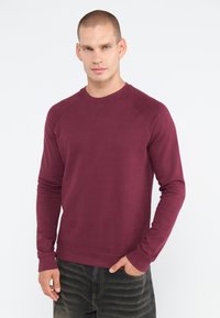 Hanorac cu mânecă lungă de culoare vișinie, fabricat dintr-un material moale. Prezintă manșete și tiv din tricot și un design simplu, fără cusături.