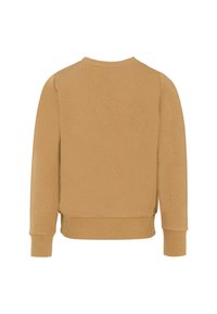 Jasnobrązowy sweter wykonany z miękkiego materiału. Posiada długie rękawy, okrągły dekolt oraz ściągacz u dołu. Prosty i jednolity kolor.