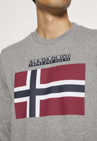 Persona vestida con un sudadera gris que tiene una bandera nórdica en colores rojo, blanco y azul, con el nombre de la marca "Napapijri" impreso encima.