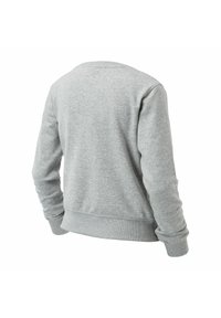 Gray sweatshirt with long sleeves, crew neckline, and ribbed cuffs. The back view shows a smooth texture and simple design.