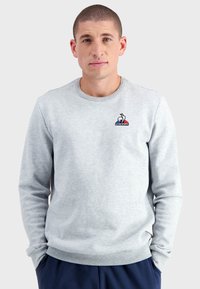Sudadera gris claro con cuello redondo y mangas largas. Cuenta con un pequeño logo bordado en el pecho. Textura de tela suave.