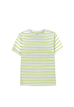 Coccodrillo, - T-shirt z nadrukiem