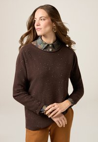 Brauner Pullover mit weißen Sprenkeln, Rundhalsausschnitt und langen Ärmeln, über einem gemusterten Hemd mit Kragen getragen. Braune Hose, goldenes Accessoire.