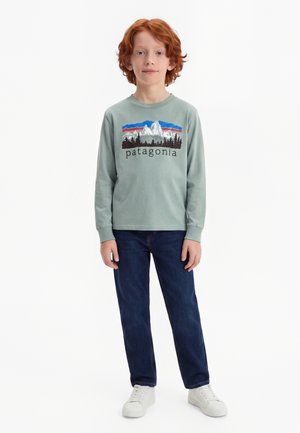 Patagonia GRAPHIC UNISEX - Μπλούζα με μακριά μανίκια - cover green