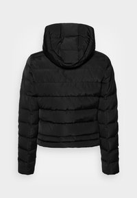 Canadian Classics SIMCOE SHORT - Untuvatakki - black