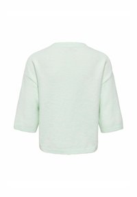Pull tricoté vert clair avec manches longueur coude et coupe légèrement courte et ample, montré de dos.