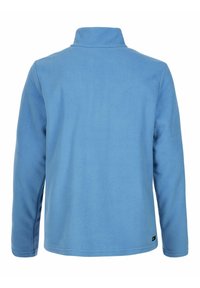 Błękitny polarowy sweter z wysokim kołnierzem i długimi rękawami. Tkanina jest miękka o teksturowanym wyglądzie. Zawiera mały akcent w postaci logo.