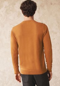 Next Strickpullover - mustard yellow