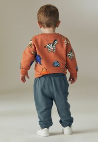 Next LONG SLEEVE SET - REGULAR FIT - Gornji dio trenirke - orange safari