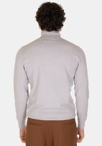 Maglione a collo alto grigio chiaro in un design aderente, con polsini a coste, morbida texture e tessuto liscio. La vista posteriore mostra una lunghezza moderata.
