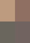 boho browns