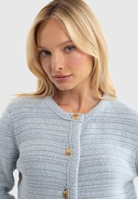 Gaiši zils adīts džemperis ar teksturētu rakstu, apaļu kakla izgriezumu un zelta pogām priekšpusē. Mīksta dzijas materiāls.