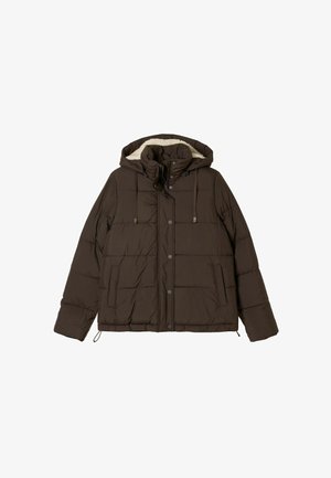 FatFace, PETITE FIT - SHORT PUFFER JACKET - Giacca invernale - chocolate brown