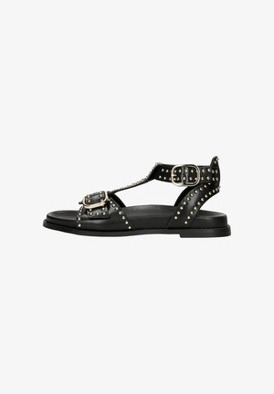 Black leather sandals featuring studded accents, a buckle closure, flat sole, and an open design with a T-strap silhouette.