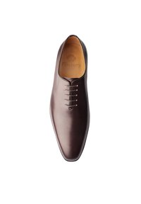 Chaussure en cuir marron à lacets avec un design élégant, bout pointu et cinq œillets. L'intérieur présente un logo de marque embossé. Texture lisse.