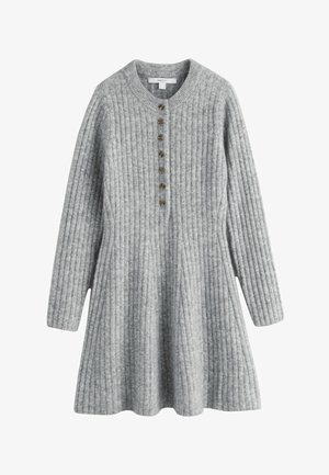 Next, REGULAR FIT - RIBBED KNIT HENLEY MINI DRESS - Strikkjoler - grey marl