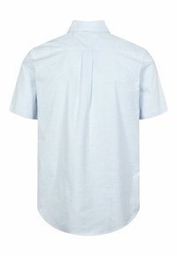 Lichtblauw kortarmshirt met verticale witte strepen, voorzien van een klassieke kraag en een plooi aan de achterkant. Soepel katoen materiaal.