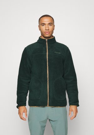 RUGGED RIDGEII - Fleece jacket - spruce/delta