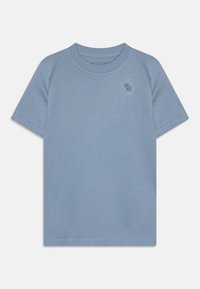 Abercrombie & Fitch ICON - T-paita - rain washed