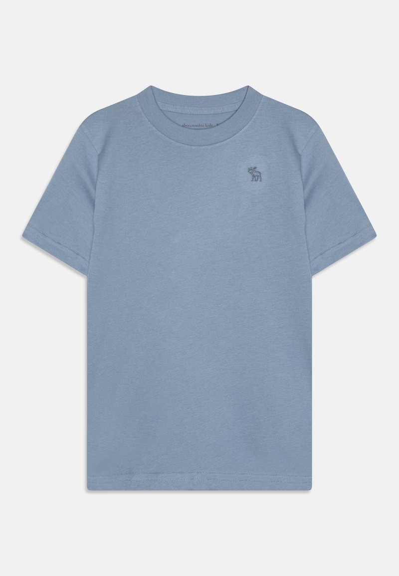 Abercrombie & Fitch ICON - T-paita - rain washed