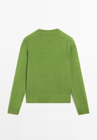 Pull vert à manches longues en tricot avec poignets, ourlet et col rond côtelés, montré de dos sur fond blanc.