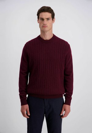 Homme aux cheveux courts et foncés portant un pull torsadé bordeaux et un pantalon foncé, debout devant un fond clair uni.