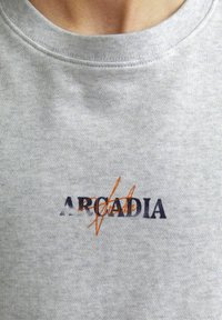 Sivi pamučni dukserica s okruglim izrezom, s natpisom "ARCADIA" u tamnoplavoj boji i narančastim akcentom kroz slovo "C."