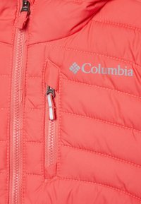 Columbia POWDER LITE GIRLS NOVELTY HOODED - Blouson - blush pink peach blossom