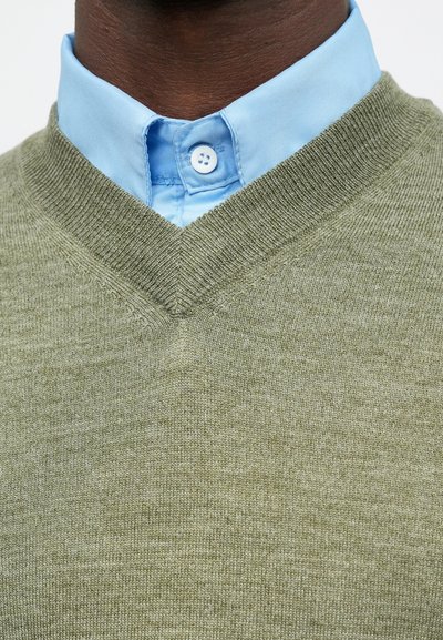 Collo e petto di una persona che indossa una camicia azzurro chiaro con bottoni sotto un maglione a V verde oliva.