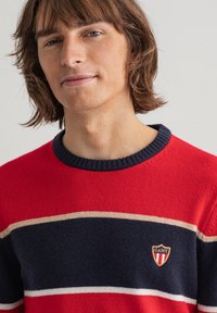 Gestreifter Pullover in Rot und Marineblau aus weichem Stoff, mit Rundhalsausschnitt und kleinem Wappenlogo auf der linken Brust.
