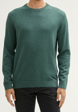 Man wearing a plain green crew neck sweater with long sleeves and black pants, standing with arms relaxed at sides.