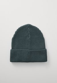 Patagonia FISHERMANS ROLLED BEANIE UNISEX - Gorro - nouveau green