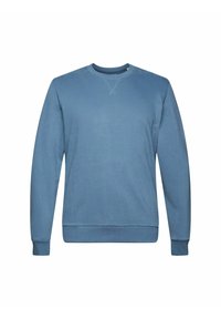 Sudadera azul claro, de mangas largas, con cuello redondo, fabricada en tejido suave, presenta puños y dobladillo acanalados, diseño minimalista sin adornos.