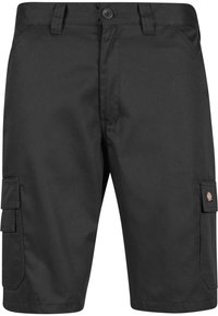 Dickies WORKWEAR EVERYDAY  - Shorts - black