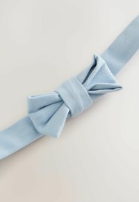 Cintura in tessuto azzurro chiaro con dettaglio a fiocco, realizzata in tessuto morbido e strutturato. Il nastro è piatto ed allungato, con una finitura liscia.