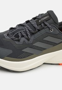 Adidas Terrex TERREX TRAILMAKER  - Obuća za pješačenje - carbon/grey six/core black