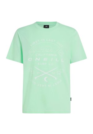 Mintgrön T-shirt gjord av bomull, med ett grafiskt tryck av palmer och korsade pilar. Korta ärmar och rund halsringning.