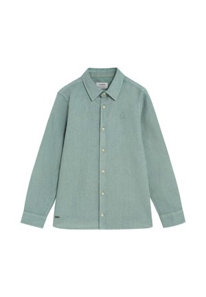 Camisa de hombre de manga larga con botones en verde claro, con cuello clásico y sutil logo bordado en el pecho.