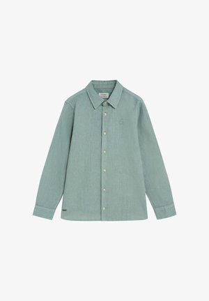 Camisa de hombre de manga larga con botones en verde claro, con cuello clásico y sutil logo bordado en el pecho.