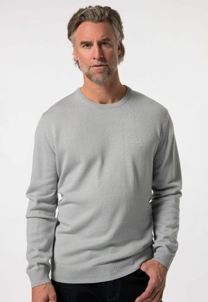 Maglione a maglia grigio chiaro con maniche lunghe e polsini a coste. Il design a girocollo presenta una leggera texture e un piccolo logo sul petto.