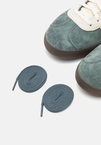 Zelené semišové tenisky s hnědými gumovými podrážkami. Světle hnědé tkaničky a dvě kulaté modré tkaničky položeny pod teniskami.